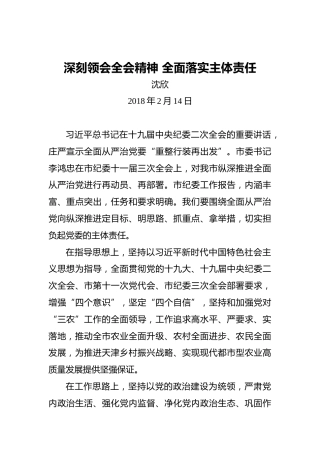 沈欣：深刻领会全会精神全面落实主体责任