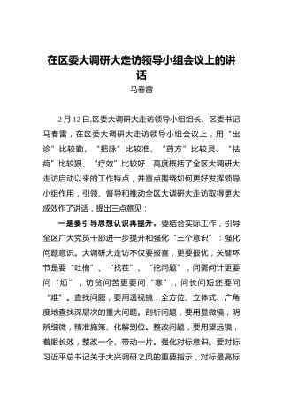 马春雷：在区委大调研大走访领导小组会议上的讲话