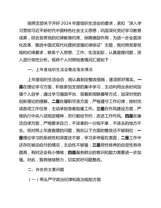 普通党员2024年度组织生活会个人对照检查材料（四个带头） (2)
