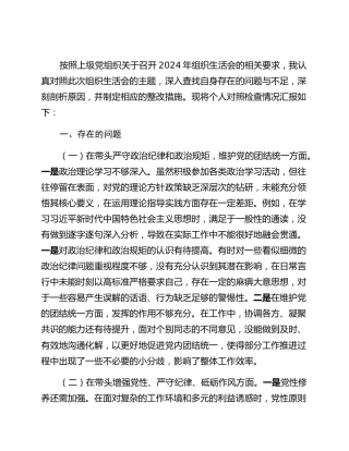 国有企业党支部书记2024年组织生活会个人对照检查发言材料