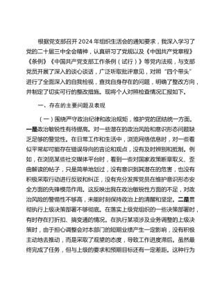 党支部书记2024年组织生活会个人对照检查发言材料_2