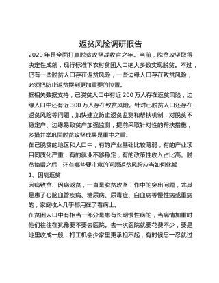返贫风险调研报告