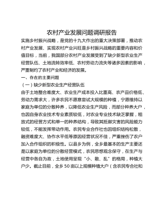 农村产业发展问题调研报告