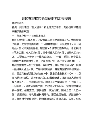 县区在迎接市长调研时的汇报发言