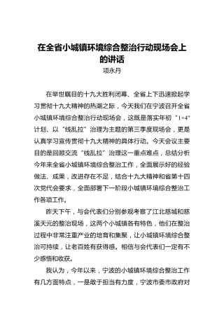项永丹：在全省小城镇环境综合整治行动现场会上的讲话