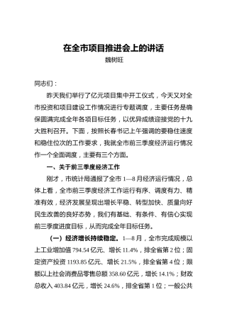 魏树旺：在全市项目推进会上的讲话docx