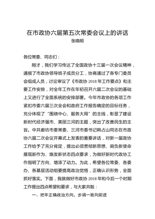 张晓明：在市政协六届第五次常委会议上的讲话