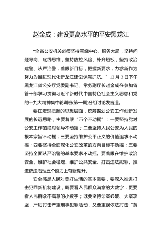 赵金成：建设更高水平的平安黑龙江
