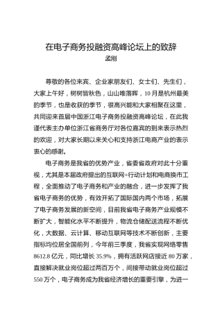 孟刚：在电子商务投融资高峰论坛上的致辞