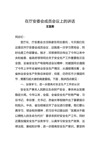 王宜美：在厅安委会成员会议上的讲话