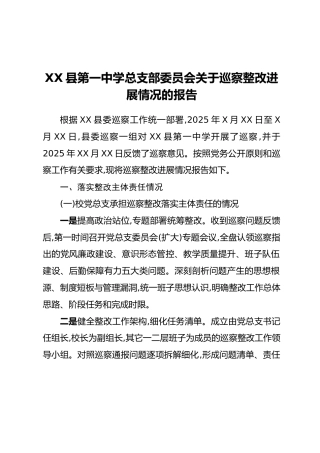 XX县第一中学总支部委员会关于巡察整改进展情况的报告