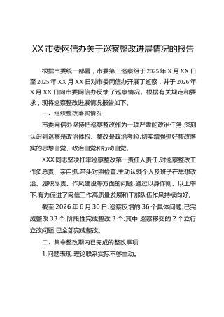 XX市委网信办关于巡察整改进展情况的报告