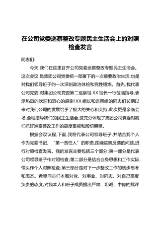 在公司党委巡察整改专题民主生活会上的对照检查发言