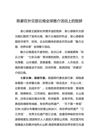 陈豪：在外交部云南全球推介活动上的致辞