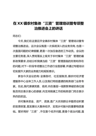 在XX镇农村集体“三资”管理培训暨专项整治推进会上的讲话