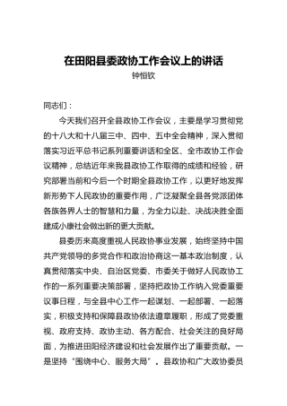 钟恒欣：在田阳县委政协工作会议上的讲话