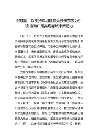 张硕辅：以支持深圳建设先行示范区为引领推动广州实现老城市新活力