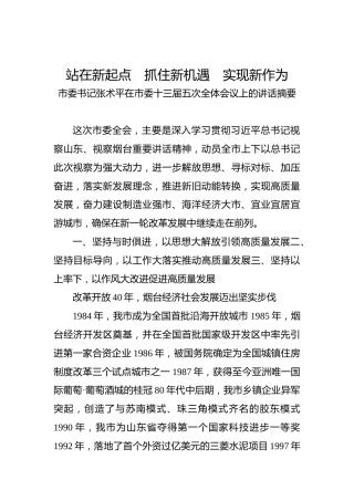 张术平：在市委十三届五次全体会议上的讲话摘要