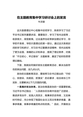 牛洪奎：在主题教育集中学习研讨会上的发言