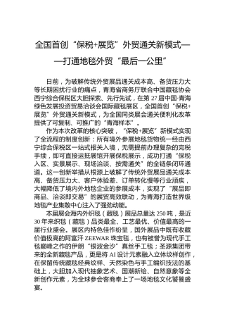 全国首创“保税展览”外贸通关新模式——打通地毯外贸“最后一公里”