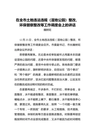 魏树旺：在全市土地违法违规（湿地公园）整改、环保督察整改等工作调度会上的讲话