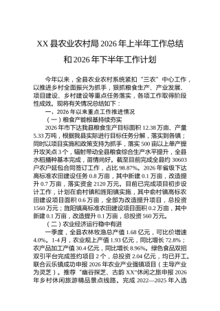 XX县农业农村局2026年上半年工作总结和2026年下半年工作计划