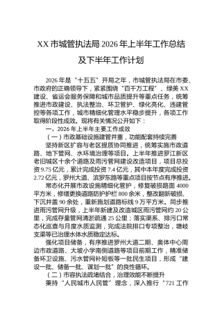 XX市城管执法局2026年上半年工作总结及下半年工作计划