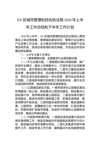 XX区城市管理和综合执法局2026年上半年工作总结和下半年工作计划