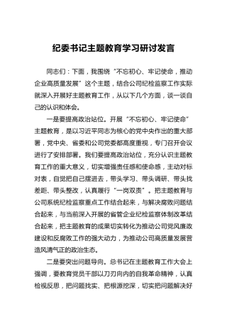 纪委书记主题教育学习研讨发言（二）