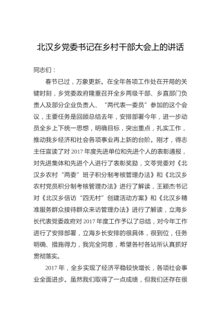 北汉乡党委书记在乡村干部大会上的讲话
