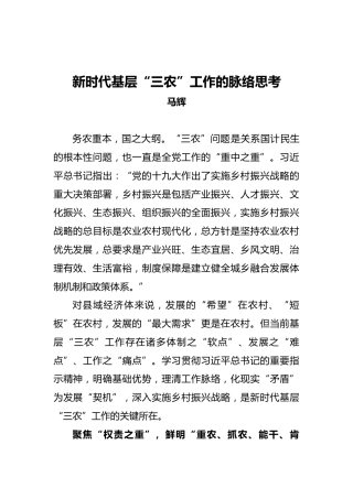 马辉：新时代基层“三农”工作的脉络思考