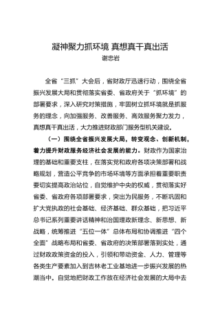 谢忠岩：凝神聚力抓环境真想真干真出活