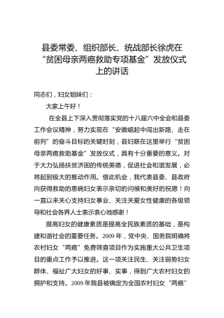 徐虎：在“贫困母亲两癌救助专项基金”发放仪式上的讲话
