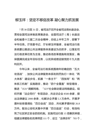 柳玉祥：坚定不移促改革凝心聚力抓发展
