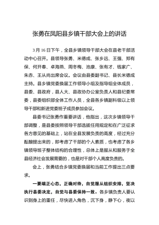 张勇：在凤阳县乡镇干部大会上的讲话