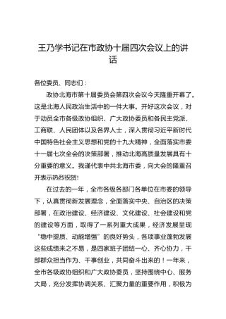 王乃学：在市政协十届四次会议上的讲话