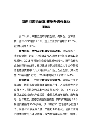 董智武：创新引路稳企业转型升级强企业