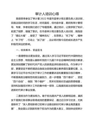 审计人培训心得