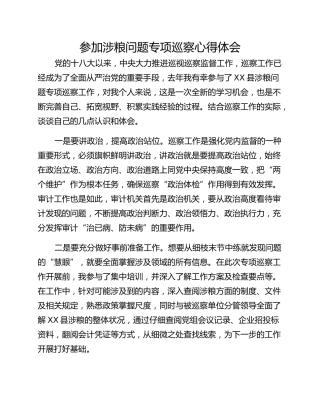 参加涉粮问题专项巡察心得体会 (2)