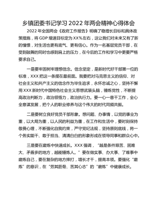 乡镇团委书记学习2022年两会精神心得体会 (2)
