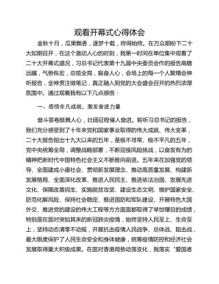 观看开幕式心得体会