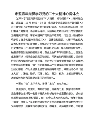 市监青年党员学习党的二十大精神心得体会