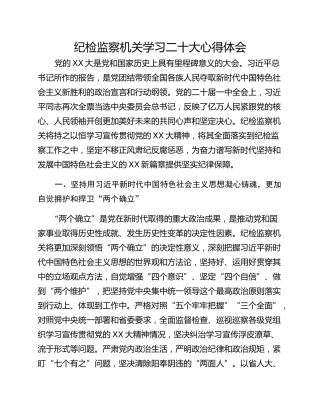 纪检监察机关学习二十大心得体会