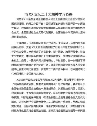 市XX支队二十大精神学习心得