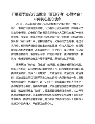 开展夏季治安打击整治“百日行动”心得体会：叩问初心坚守使命