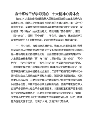 宣传系统干部学习党的二十大精神心得体会