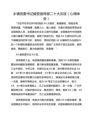 乡镇党委书记接受宣传部二十大访谈（心得体会）