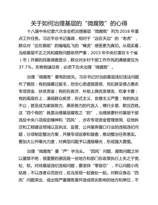 关于如何治理基层的“微腐败”的心得