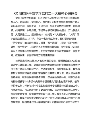 XX局挂职干部学习党的二十大精神心得体会