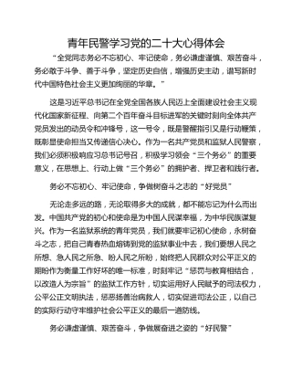 青年民警学习党的二十大心得体会